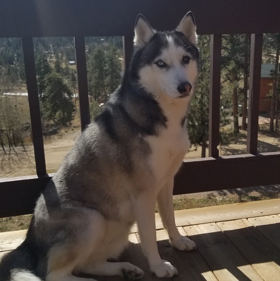 Meet your Posher, Liz - Picture 2 of 3